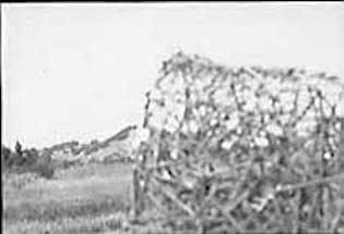 Black and white photos of twig model with physical site in the background