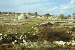 Landscape with many trulli