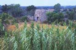 Trulo surrounded by vegetation