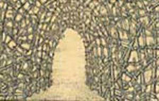 detail of arbor drawing